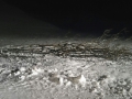IMG-20170115-WA0034