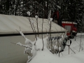 IMG-20180213-WA0024