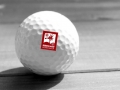 csm_golf_582d1546ec